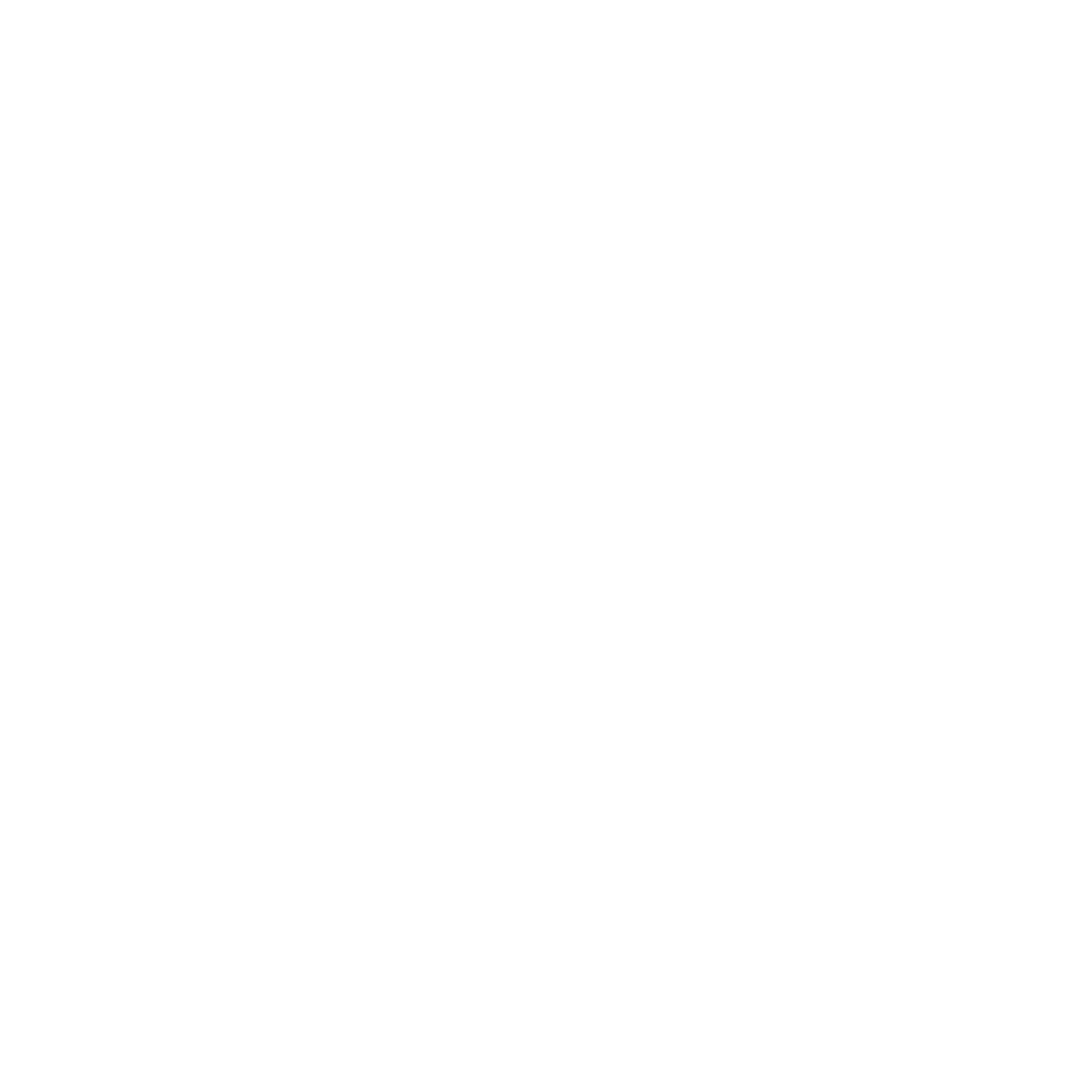 Logo TNR Studio